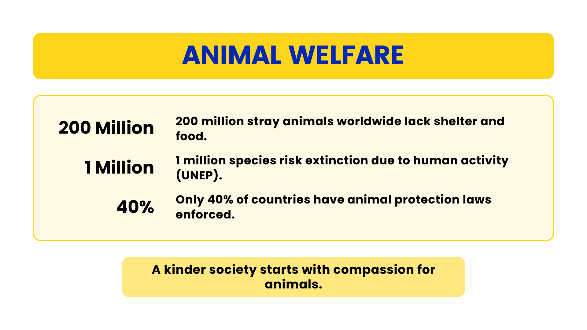Infographic on animal welfare showing 200 million stray animals without shelter and food, 1 million species at risk of extinction due to human activity, and only 40% of countries enforcing animal protection laws.