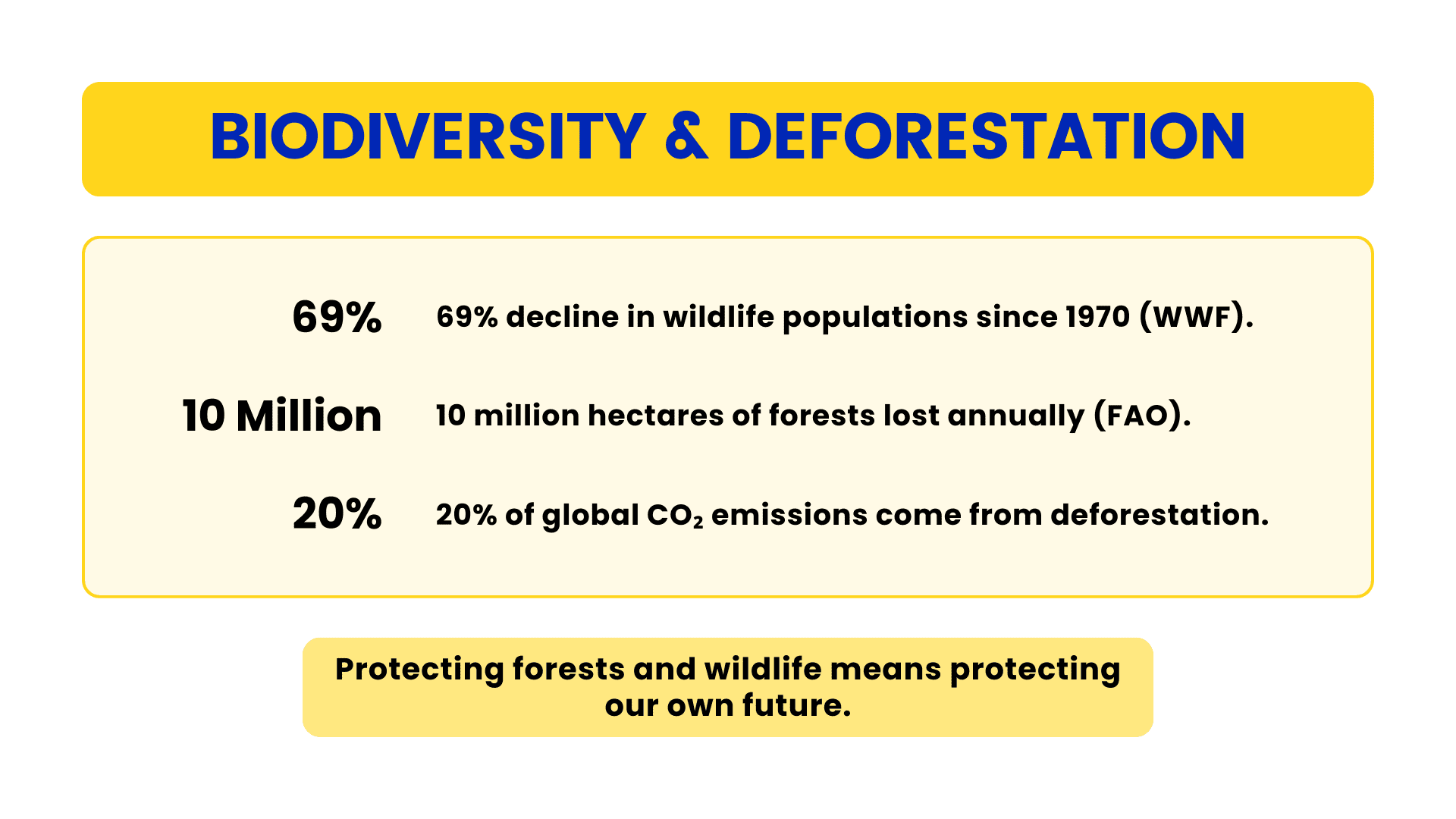 Infographic on nature conservation showing 69% decline in wildlife populations since 1970, 10 million hectares of forests lost each year, and 20% of global CO2 emissions caused by deforestation.